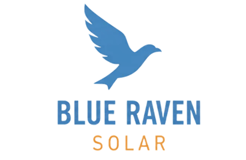 Blue Raven